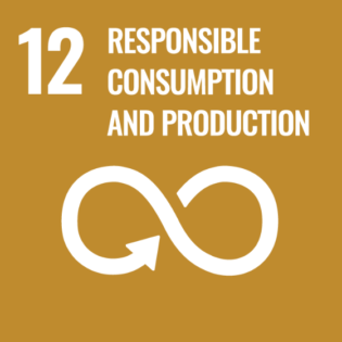 ESG: Responsible Consumption and production